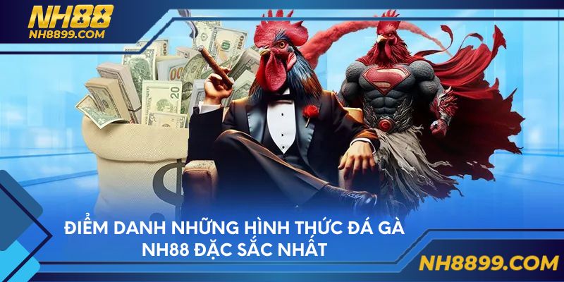 Điểm danh những hình thức đá gà NH88 đặc sắc nhất